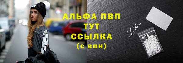 гидра Абаза