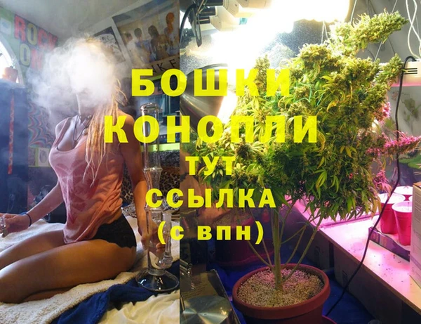 гидра Абаза