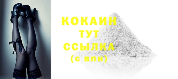 гидра Абаза