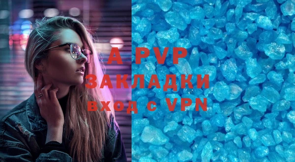 гидра Абаза