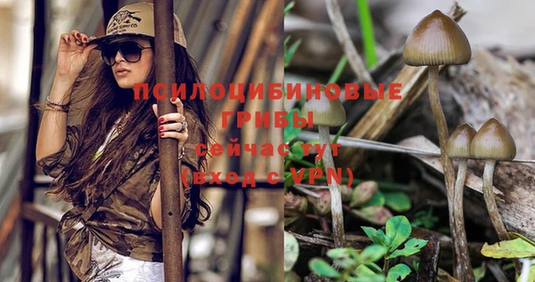 ешки Абдулино