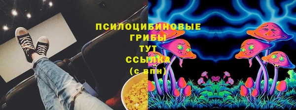 гидра Абаза