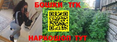 сатива Камышлов