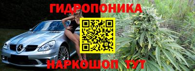 сатива Камышлов