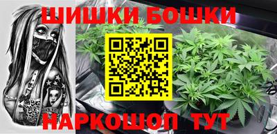 сатива Камышлов