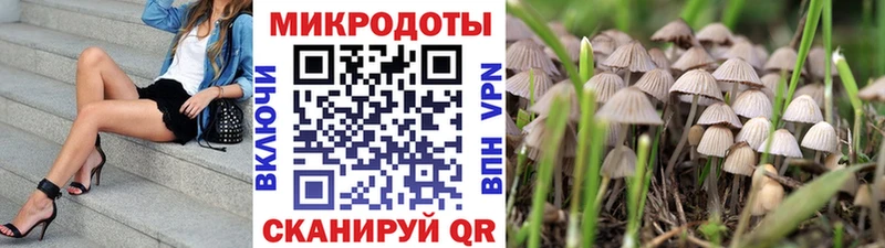 купить наркотики сайты  Ливны  Псилоцибиновые грибы Psilocybe 