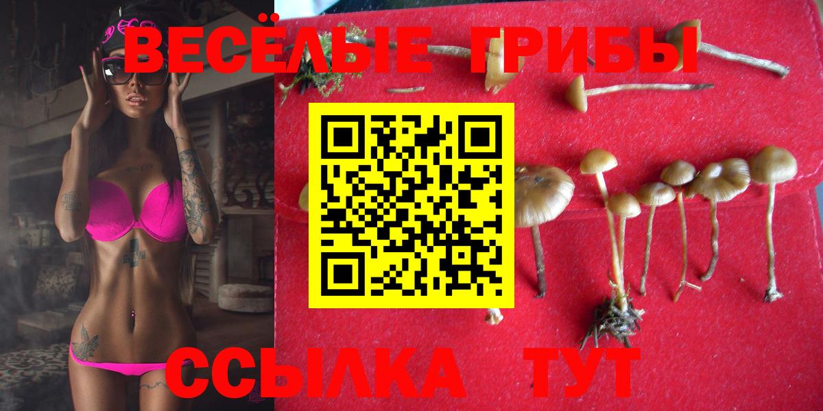 Псилоцибиновые грибы MAGIC MUSHROOMS Ливны